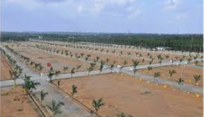 Mangalapalli Open Plots for Sale